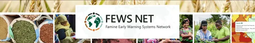 Fewsnet cover